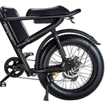 Riding Times  Z8 Electric Bike
