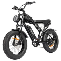 Ridstar Q20 Mini Electric Bike - PREORDER - EXPECTED IN SEPTEMBER.