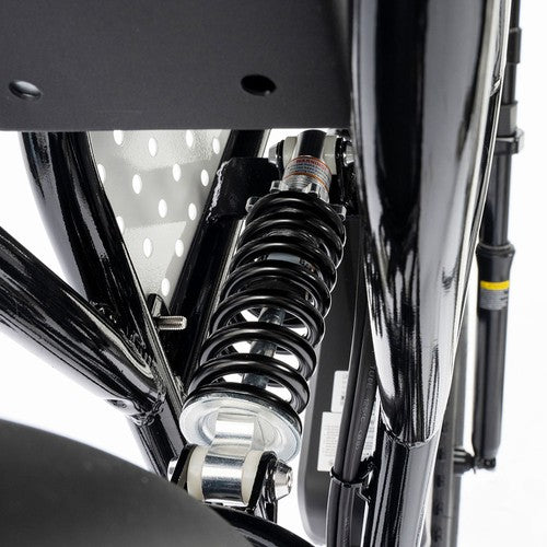 Ridstar Q20 Mini Electric Bike - PREORDER - EXPECTED IN SEPTEMBER.