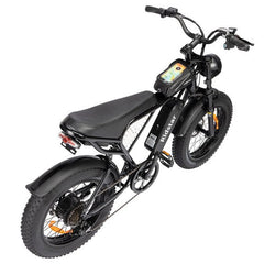 Ridstar Q20 Mini Electric Bike - PREORDER - EXPECTED IN SEPTEMBER.