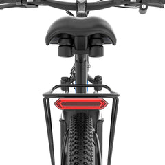 Rayzeph S29 Pro Electric Mountain Bike