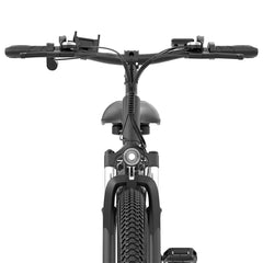 Rayzeph S29 Pro Electric Mountain Bike