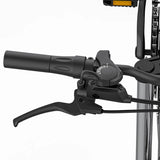 Coswheel T20 All Terrain Cargo Electric Bike Preorder