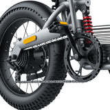 Coswheel T20 All Terrain Cargo Electric Bike Preorder