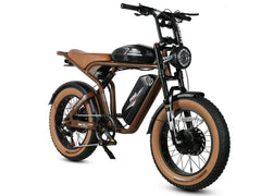 Samebike M20-III Electric Cargo Bike