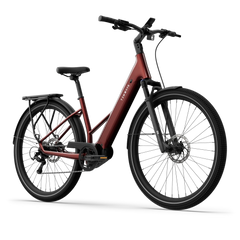 TENWAYS AGO AIR HYBRID Electric Cargo Bike