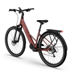 TENWAYS AGO AIR HYBRID Electric Cargo Bike