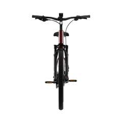 TENWAYS AGO AIR HYBRID Electric Cargo Bike