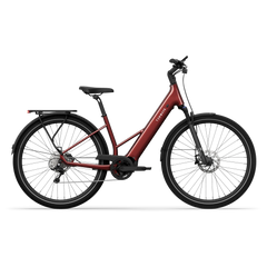 TENWAYS AGO AIR HYBRID Electric Cargo Bike