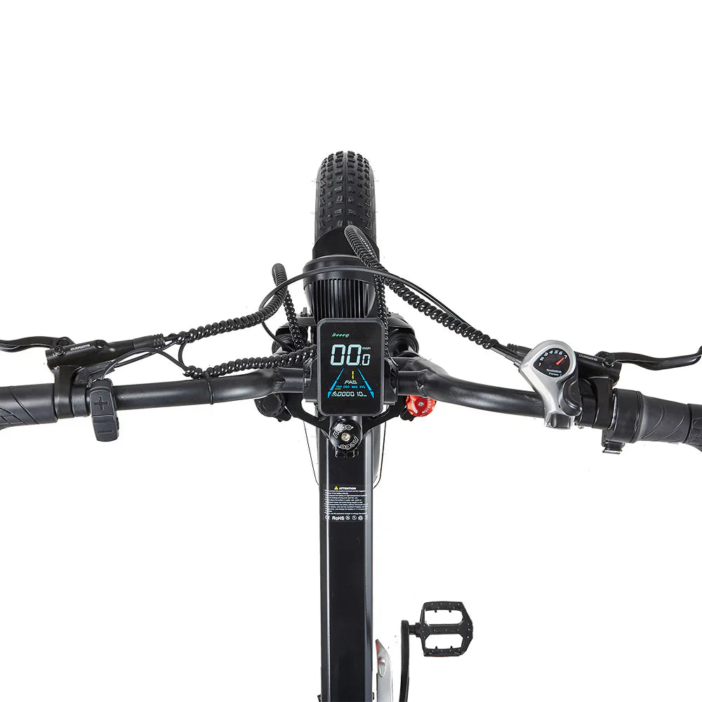 RANDRIDE YX20M-2 Dual Motor Electric Bike Preorder