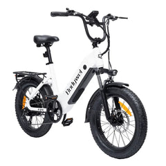 Bodywel F20 City Electric Bike