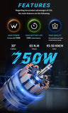 DUOTTS C29 Pro 29 Inch Electric Mountain Bike Preorder (Arriving in the end of March) - Pogo Cycles