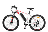 Fafrees F28 MT Mountain Electric Bike - Pogo Cycles