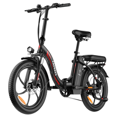 FAFREES F20 Folding Electric Cargo  Bike