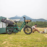 Fiido T2 Longtail Cargo E-Bike - UK - Pogo Cycles