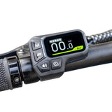 Fiido D11 Electric Bike