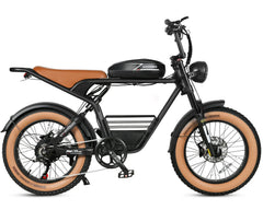 Samebike M20 Electric Cargo Bike
