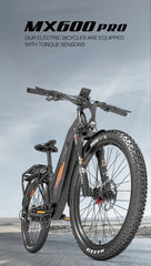 Lankeleisi MX600 Pro Electric Cargo Bike - PREORDER - ETA SEPTEMBER END.