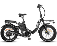 Fafrees F20 X-Max Electric Cargo Bike