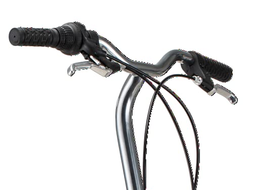 Schwinn Loop Adult Folding Bike, 20-inch Wheels, 7-Speed Drivetrain, Rear Carry Rack, Carrying Bag, Black