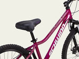 Schwinn Fleet Girls Mountain Bike, 24-Inch Tyres, 12-Inch Lightweight Alloy Frame, Front Suspension, 9 Speed, Disc Brakes, Magenta
