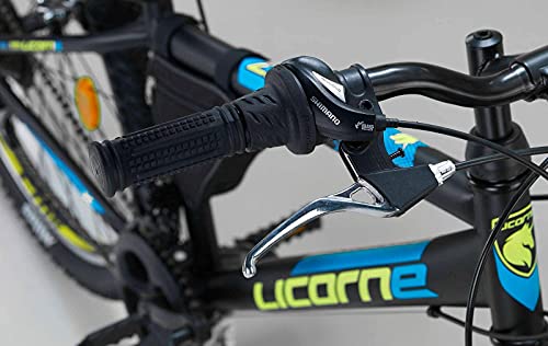 Licorne Bike Premium Mountain Bike Bicycle for Girls, Boys, Men and Women - 21 Speed Gear - Guide, 24