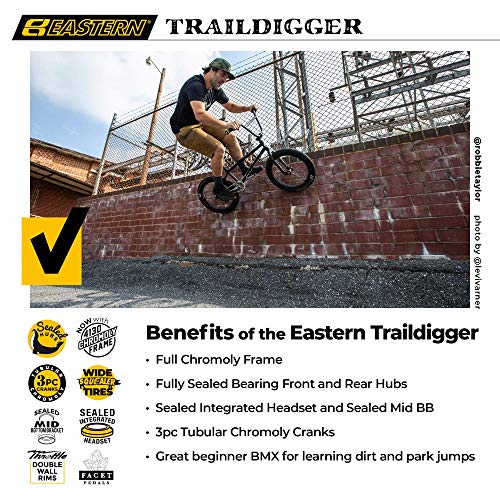 Eastern Bikes Traildigger 20-Inch BMX Bike Full Chromoly Frame (Black)