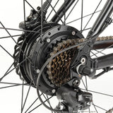 Eleglide M2 Electric Mountain Electric Bike