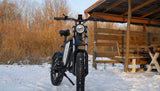 GUNAI MX25 Electric Bicycle