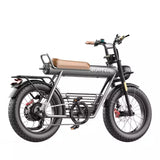Coswheel CT20 Cargo Electric Bike Preorder