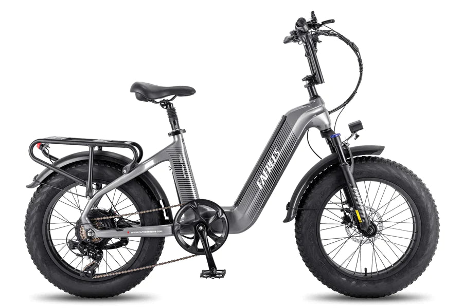 FAFREES F20 Master E-bike - Pogo Cycles