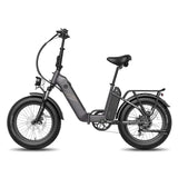 Fafrees FF20 Polar with Dual Batteries Electric Bike