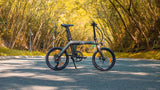FIIDO D21 Folding Electric Bike with mudguard and light - Pogo Cycles available in cycle to work
