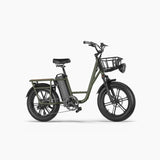 FIIDO T1 pro Electric Cargo Bike version 2 2023 edition Preorder