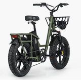 FIIDO T1 pro Electric Cargo Bike v2 2023 edition - Pogo Cycles available in cycle to work