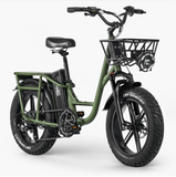 FIIDO T1 pro Electric Cargo Bike v2 2023 edition - Pogo Cycles available in cycle to work